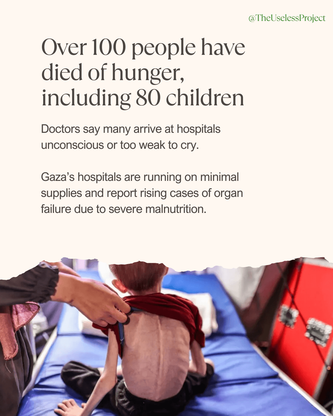 Gaza is being starved - Image 3