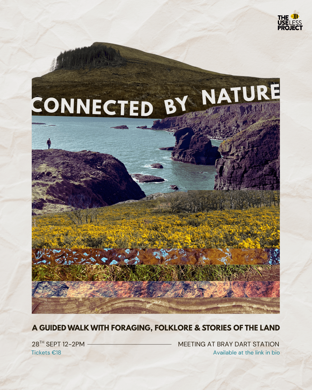 Connected by Nature: A Guided Walk of Foraging, Folklore and Connection to the Land - Image 1