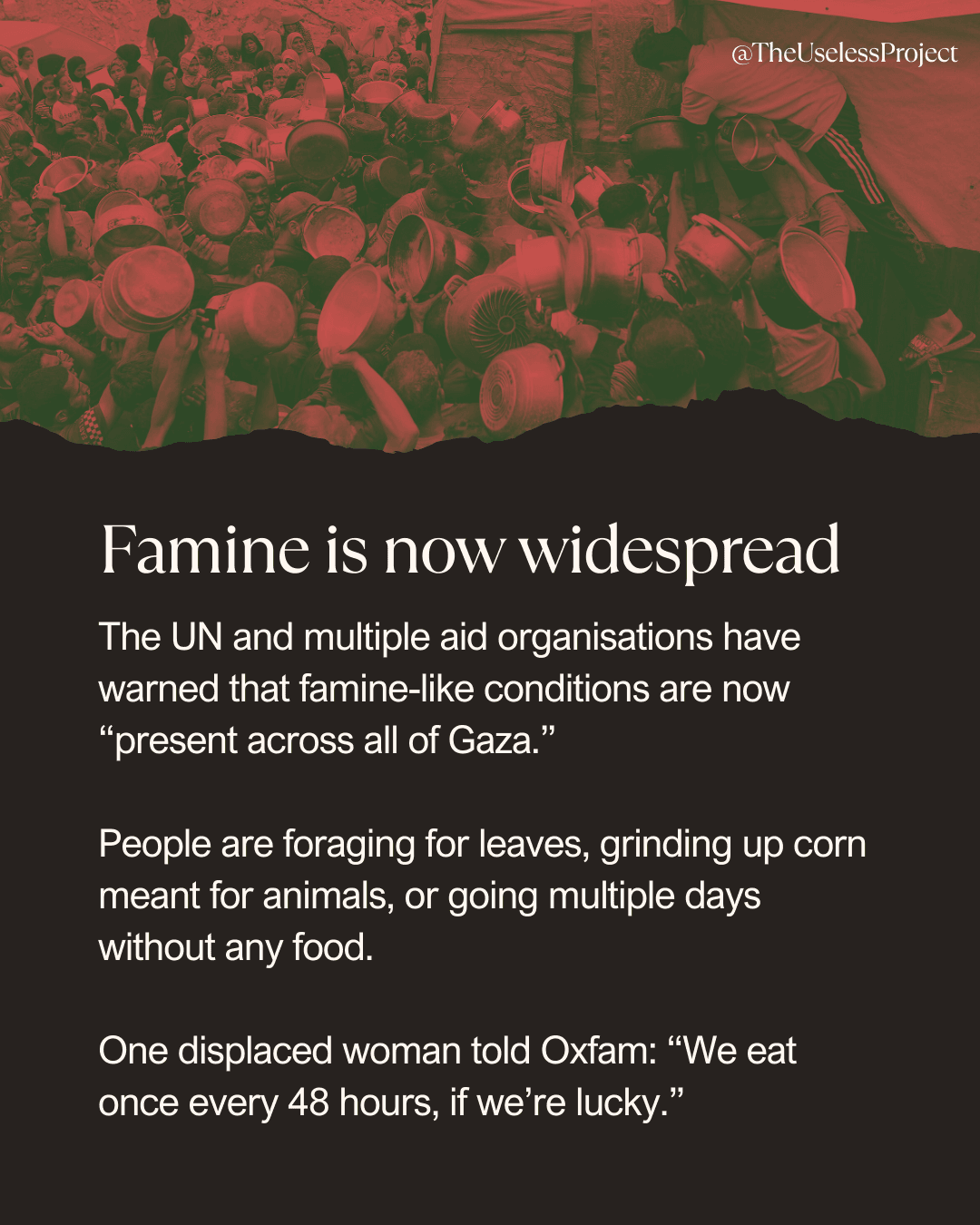 Gaza is being starved - Image 2