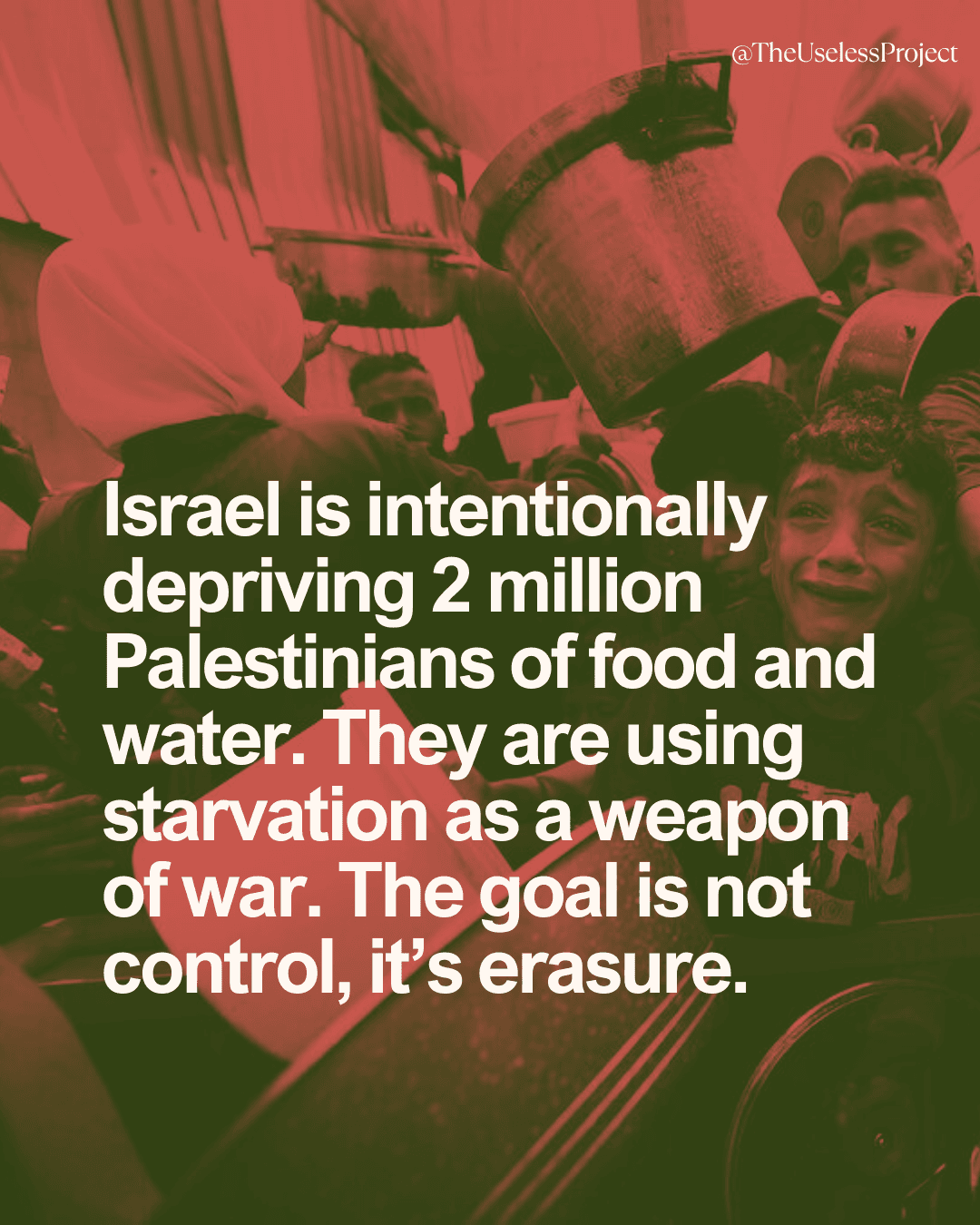 Gaza is being starved - Image 4