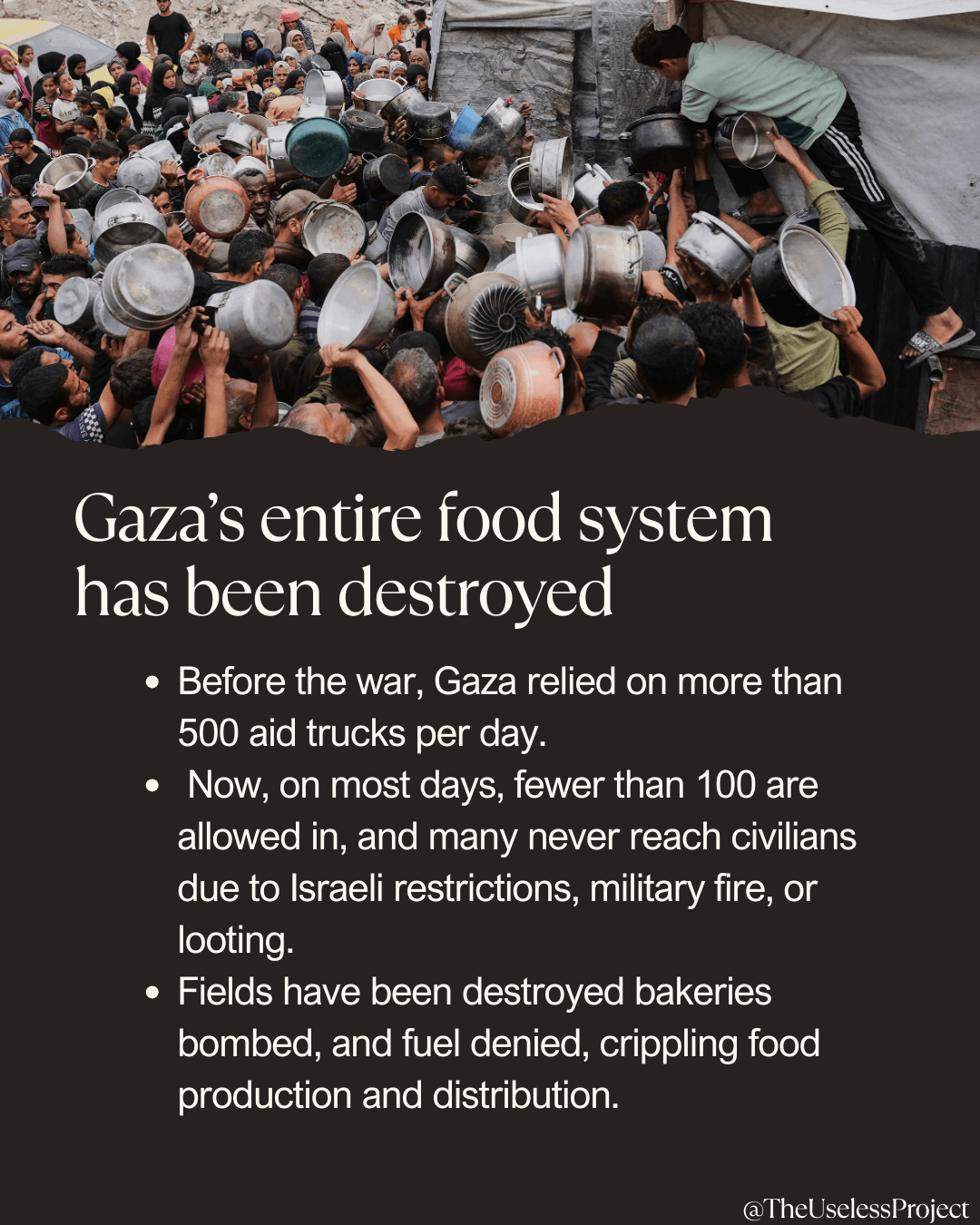 Gaza is being starved - Image 6