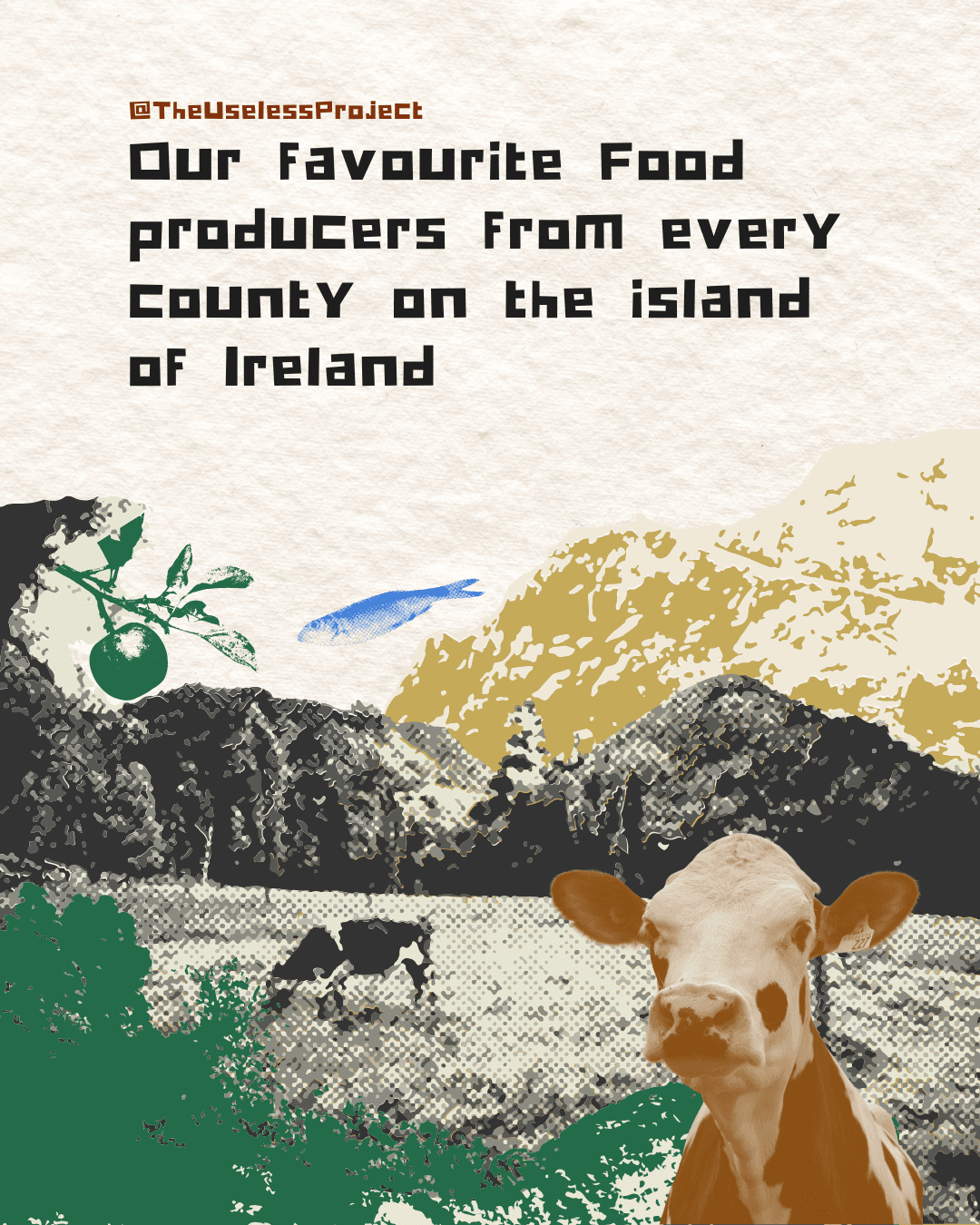 Our Fave Food Vendors in Ireland - Image 1